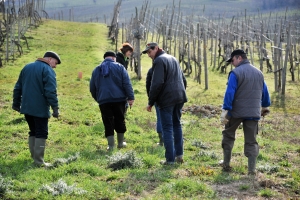 Corso Potatura | Prezzo Az. Agr. Barbara Avellino | Rovescala